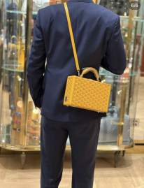 Picture of Goyard Handbags _SKUfw225669585fw